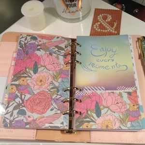Webster's Pages Platinum Rose Color Crush Planner